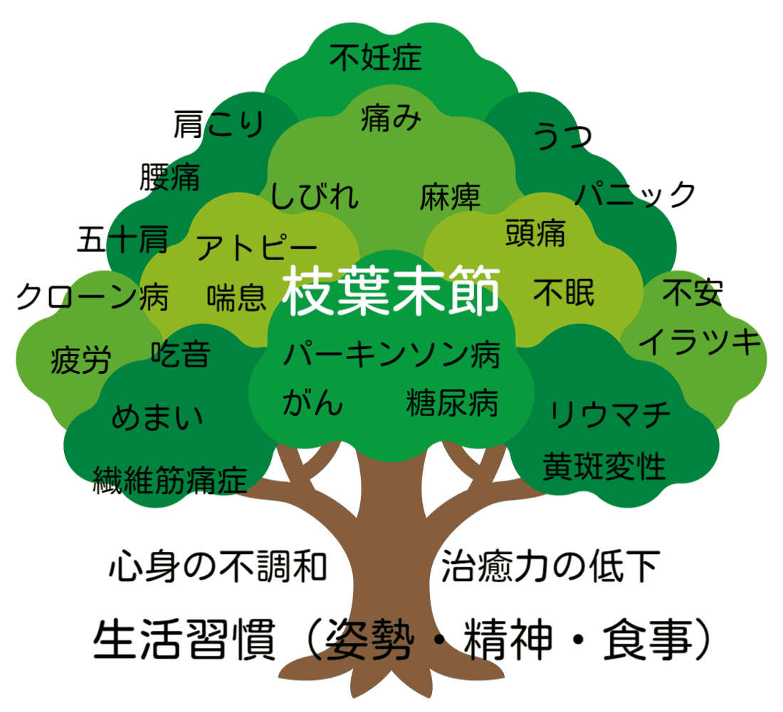 病気の枝葉末節と根本,加古川市,鍼灸,はり,きゅう 病気の枝葉末節と根本,加古川市,鍼灸,はり,きゅう